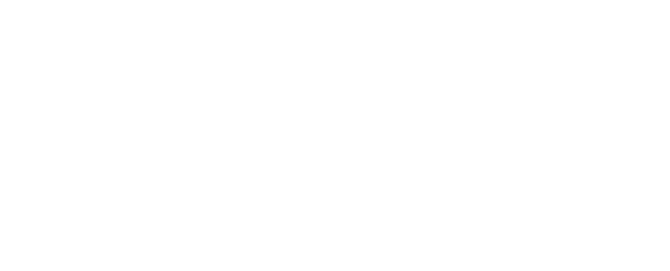 MFF srl Logo